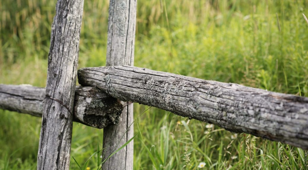 Opsætning af trådhegn